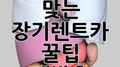 내게 딱 맞는 장기렌트카? 🤔 꿀팁 대방출! 🚗💨